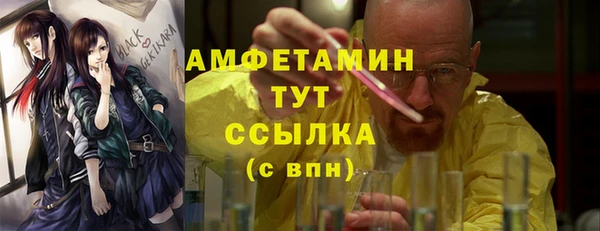 индика Белокуриха