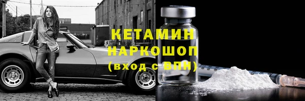индика Белокуриха