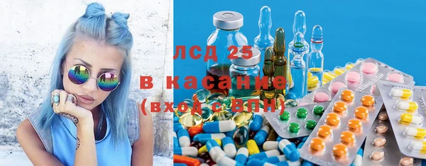 индика Белокуриха