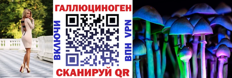 Галлюциногенные грибы Psilocybine cubensis  Вышний Волочёк 